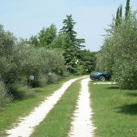 Bed and Breakfast Vista Assisi Exterior foto