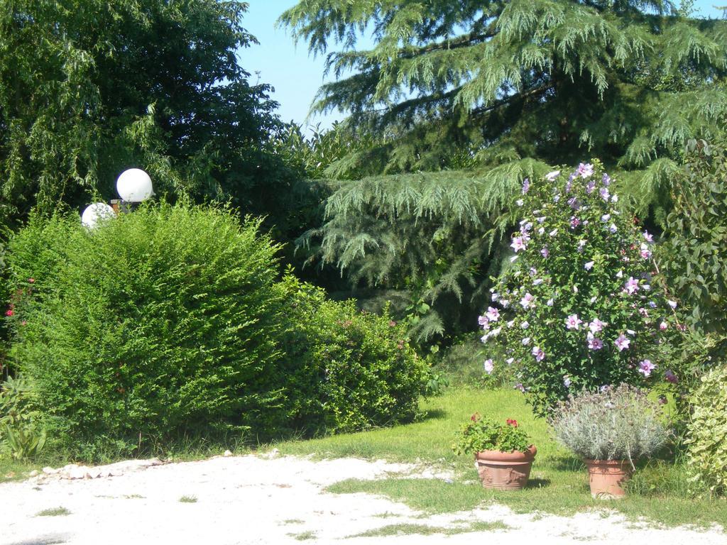 Bed and Breakfast Vista Assisi Exterior foto