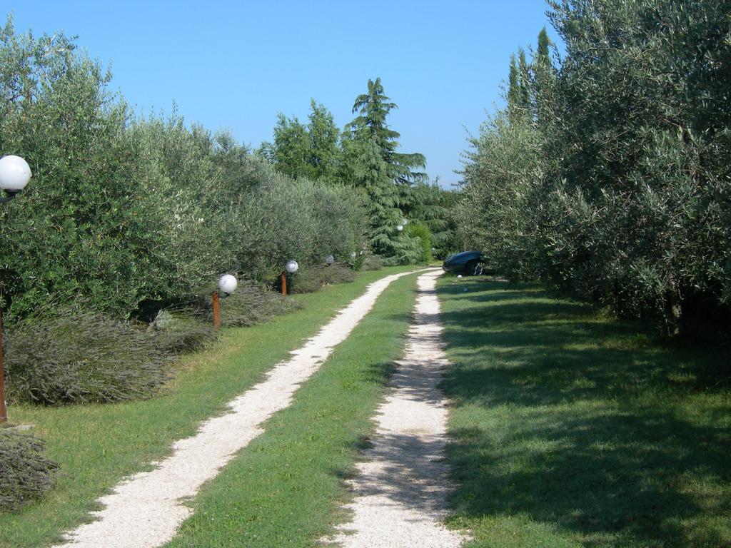 Bed and Breakfast Vista Assisi Exterior foto